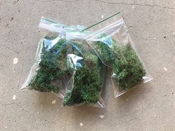 Blødgjort mos - Grøn - 10g i pose